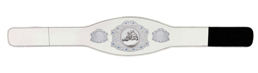 SILVER CHAMPIONSHIP BELT - XXLMIDI/S/JIUJITSU/S - AVAILABLE IN 4 LEATHER COLOURS SILVER CHAMPIONSHIP BELT - XXLMIDI/S/JIUJITSU/S - AVAILABLE IN 4 LEATHER COLOURS